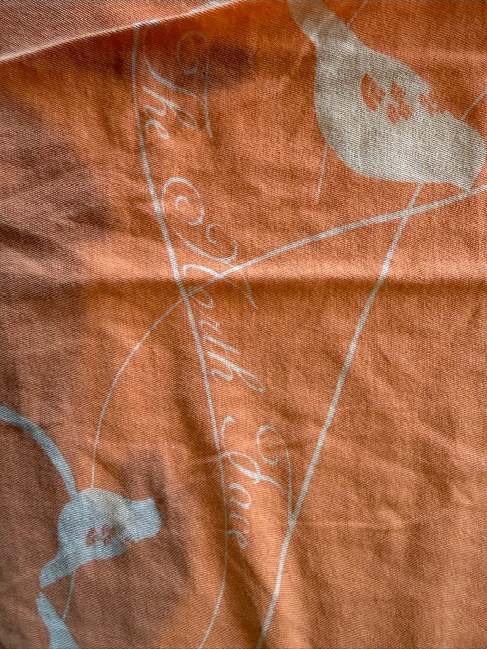 Soft orange/peachand white vintage bird print t-shirt by The North Face - Picture 3 of 7